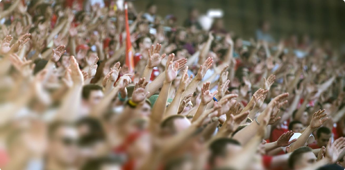 Fans with hands raised in the stands